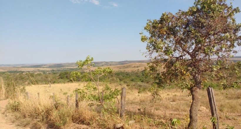 WhatsApp Image 2017-10-27 at 09.35.53 (1)