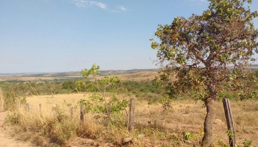 WhatsApp Image 2017-10-27 at 09.35.53 (1)