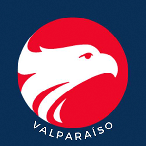 logo wizard valparaiso SITE