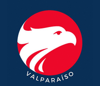 logo wizard valparaiso SITE